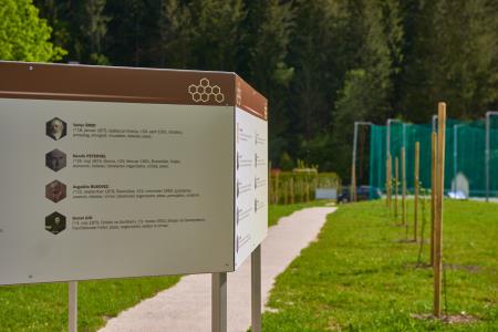 Črna na Koroškem_Drevored_Nace Zavrl_05